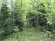 Owner Wanted for This Hunting Camp in Taylor County WI Photo 16