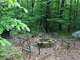 Owner Wanted for This Hunting Camp in Taylor County WI Photo 2
