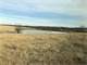 160 Acres Central KS Pasture with Running Creek and Hardwood Timber