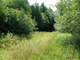Beautiful Acres with Lots Mature Woodlands Photo 10