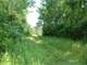 Beautiful Acres with Lots Mature Woodlands Photo 4
