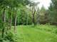 Beautiful Acres with Larrabee Creek Photo 12