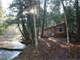 170 Acres Hunting Land with River Frontage ON Pere Marquette River