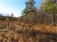 Professionally Developed Hunting Land in Marathon County Photo 10