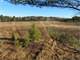 Professionally Developed Hunting Land in Marathon County Photo 13