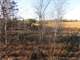 Professionally Developed Hunting Land in Marathon County Photo 4