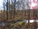 Professionally Developed Hunting Land in Marathon County Photo 8