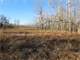 Professionally Developed Hunting Land in Marathon County Photo 9