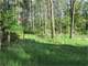 Wooded Buildable 4.49 Acres Adjacent 250 Acresdnr Land Photo 11