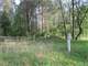 Wooded Buildable 4.49 Acres Adjacent 250 Acresdnr Land Photo 13