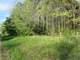 Wooded Buildable 4.49 Acres Adjacent 250 Acresdnr Land Photo 15