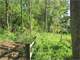Wooded Buildable 4.49 Acres Adjacent 250 Acresdnr Land Photo 19
