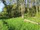 Wooded Buildable 4.49 Acres Adjacent 250 Acresdnr Land Photo 6