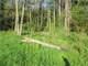 Wooded Buildable 4.49 Acres Adjacent 250 Acresdnr Land Photo 7