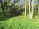 Wooded Buildable 4.49 Acres Adjacent 250 Acresdnr Land Photo 8