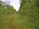 Secluded Hunting Spot for the Trophy Deer Photo 6
