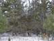 Acres Hunting Tillable Land Columbia Cty Photo 17