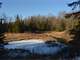 Marathon County Wisconsin Hunting Land for Sale Photo 4