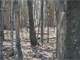 Tillable and Timber Land for Sale Richland Cosauk CO in WI Photo 10