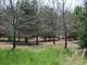 Tillable and Timber Land for Sale Richland Cosauk CO in WI Photo 13