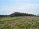 Tillable and Timber Land for Sale Richland Cosauk CO in WI Photo 2