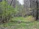 Tillable and Timber Land for Sale Richland Cosauk CO in WI Photo 5