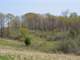 Tillable and Timber Land for Sale Richland Cosauk CO in WI Photo 6
