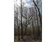 Tillable and Timber Land for Sale Richland Cosauk CO in WI Photo 8