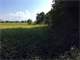 Hunting Land Near Oconomowoc in Jefferson County WI Photo 16