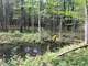 Acre Parcel with Great Hunting in Price County Photo 5