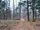 Building and Hunting Wooded Acre Parcel in Marathon County WI Photo 1