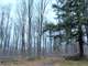 Building and Hunting Wooded Acre Parcel in Marathon County WI Photo 2