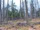 Building and Hunting Wooded Acre Parcel in Marathon County WI Photo 3