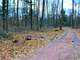 Building and Hunting Wooded Acre Parcel in Marathon County WI Photo 9