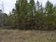 Central Wisconsin 110 Acres Hunting Land for Sale Photo 13