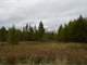 Central Wisconsin 110 Acres Hunting Land for Sale Photo 14