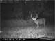 Disney World Hunting Camps in Southwestern Wisconsin Photo 16