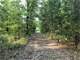 185 Ag-Exempt Acres with Woods and Trails