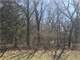 Acres Great Hunting Montello Wisconsin Photo 2