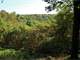 Secluded Hunting Camp for Sale in Crawford County WI Photo 17