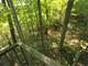 Secluded Hunting Camp for Sale in Crawford County WI Photo 8