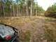 Affordable Hunting Land for Sale in Adams County WI Photo 10