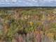 Affordable Hunting Land for Sale in Adams County WI Photo 17