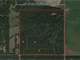 Affordable Hunting Land for Sale in Adams County WI Photo 20