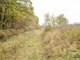Acres Hunting Land in Columbia County WI Photo 11