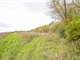 Acres Hunting Land in Columbia County WI Photo 13