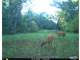 262 Turn Key Hunting Property in Wisconsin Dells Photo 1