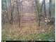 262 Turn Key Hunting Property in Wisconsin Dells Photo 2