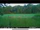 262 Turn Key Hunting Property in Wisconsin Dells Photo 5