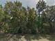 1.25 Acres in Dunnellon FL Photo 3